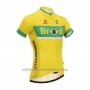 2014 Cycling Jersey Fox Cyclingbox Yellow Short Sleeve and Bib Short