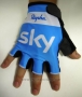 2015 Sky Gloves Cycling Blue