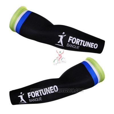 2016 Fortuneo Arm Warmer Cycling